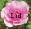 Last